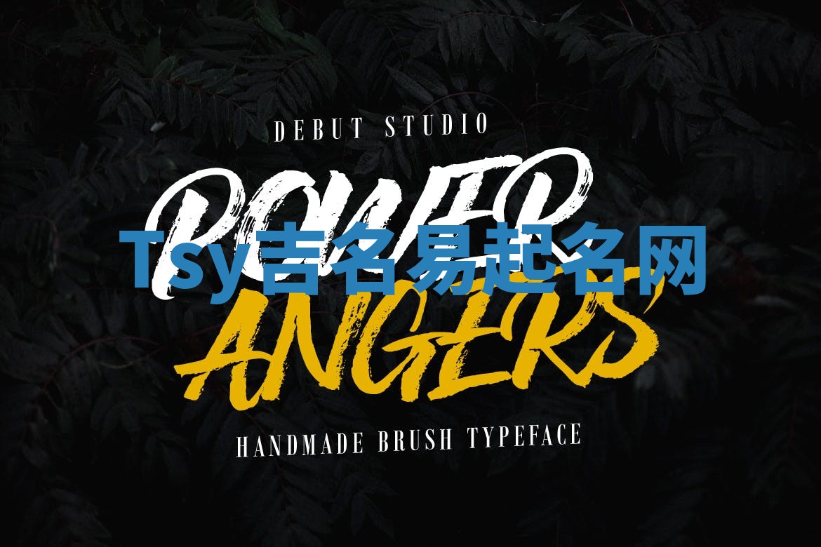 Tsy吉名易起名网