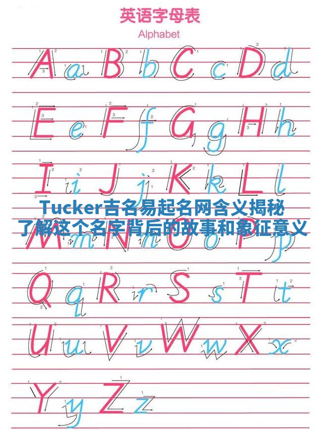 Tucker吉名易起名网含义揭秘 了解这个名字背后的故事和象征意义