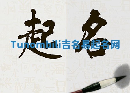 Tunombili吉名易起名网