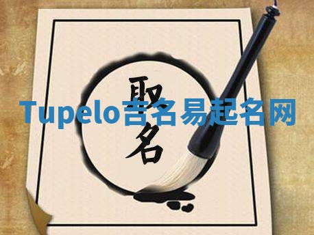 Tupelo吉名易起名网