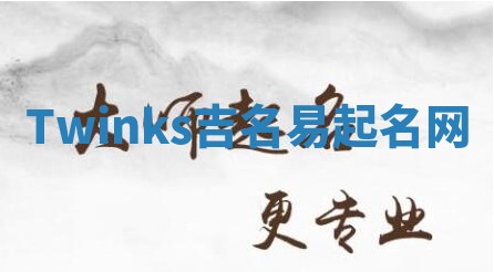 Twinks吉名易起名网
