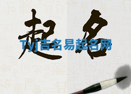 Tyj吉名易起名网