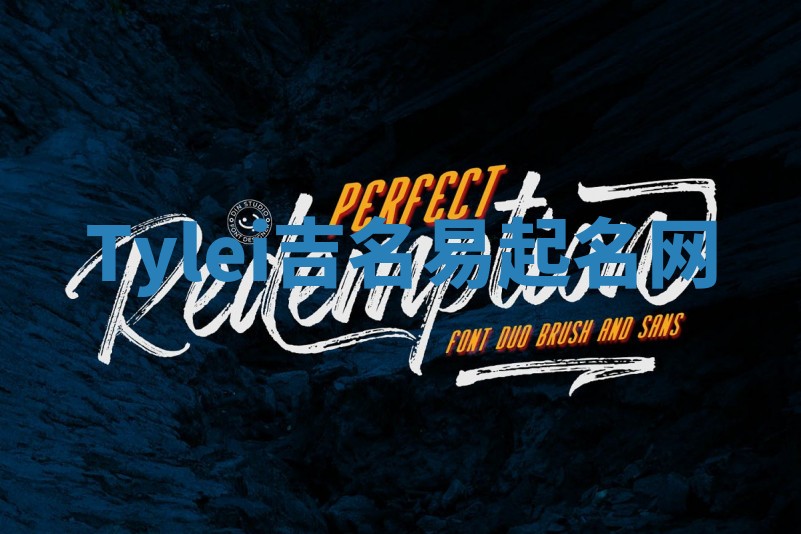 Tylei吉名易起名网