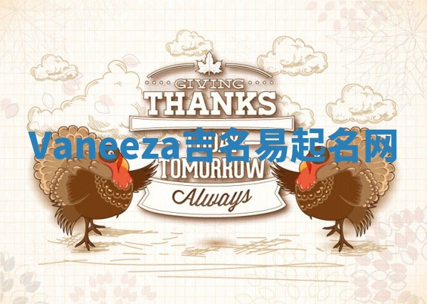 Vaneeza吉名易起名网