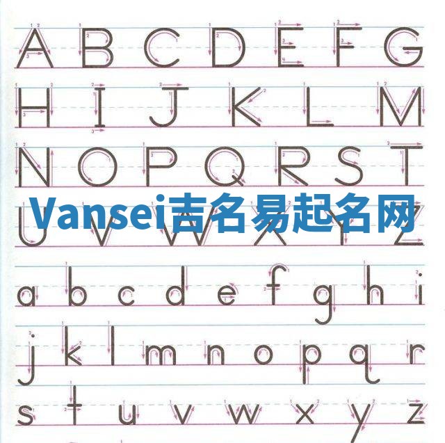 Vansei吉名易起名网