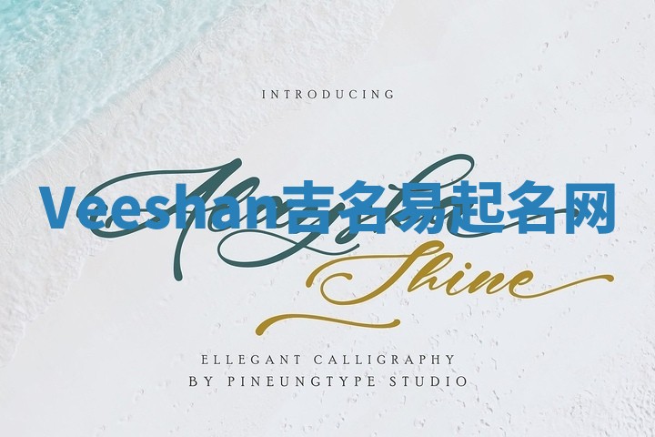 Veeshan吉名易起名网