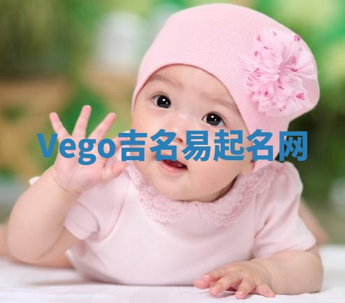 Vego吉名易起名网