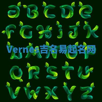 Vernes吉名易起名网