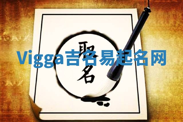 Vigga吉名易起名网