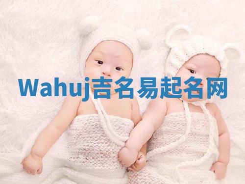 Wahuj吉名易起名网