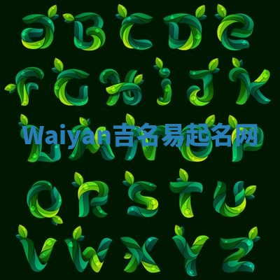 Waiyan吉名易起名网