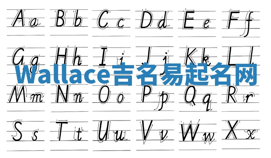 Wallace吉名易起名网