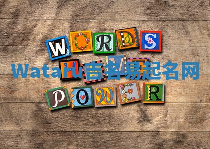 Wataru吉名易起名网