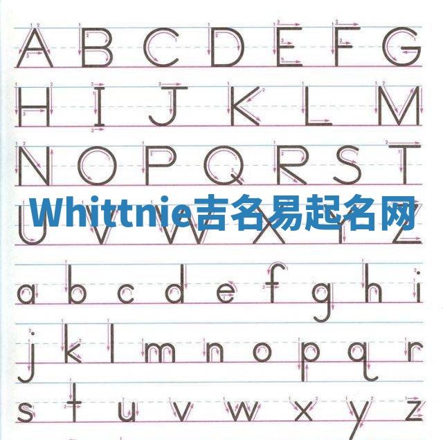 Whittnie吉名易起名网