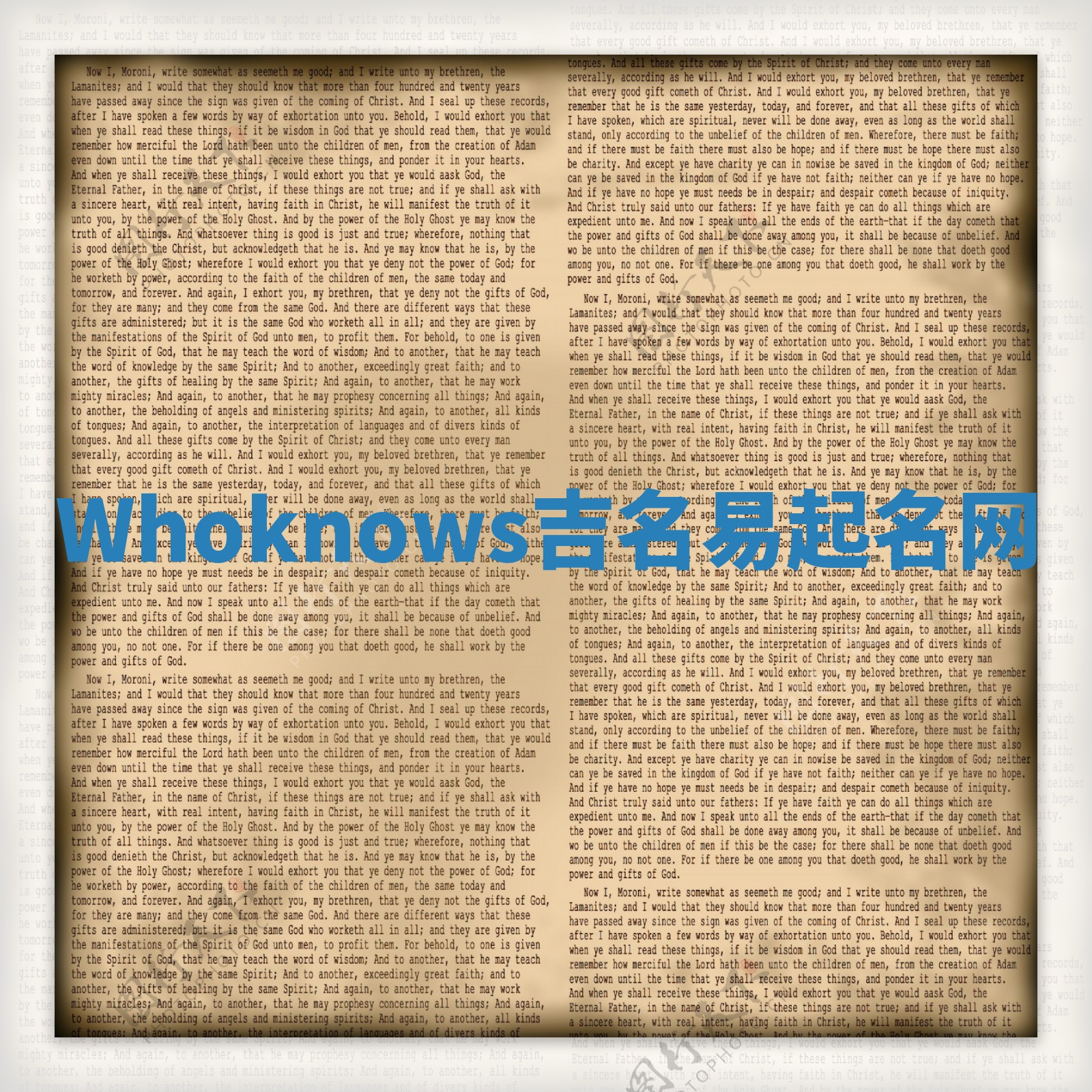 Whoknows吉名易起名网