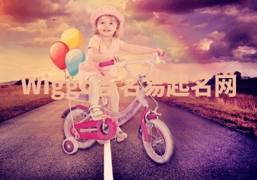 Wiggo吉名易起名网
