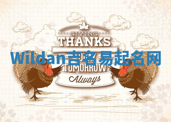 Wildan吉名易起名网