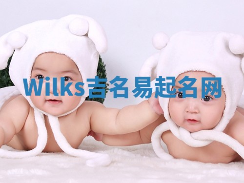 Wilks吉名易起名网