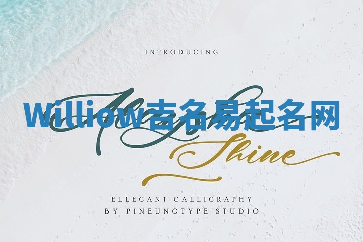 Williow吉名易起名网