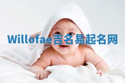 Willofae吉名易起名网