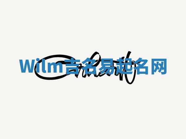 Wilm吉名易起名网