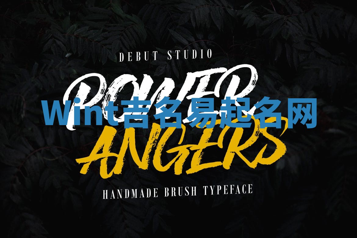 Wint吉名易起名网