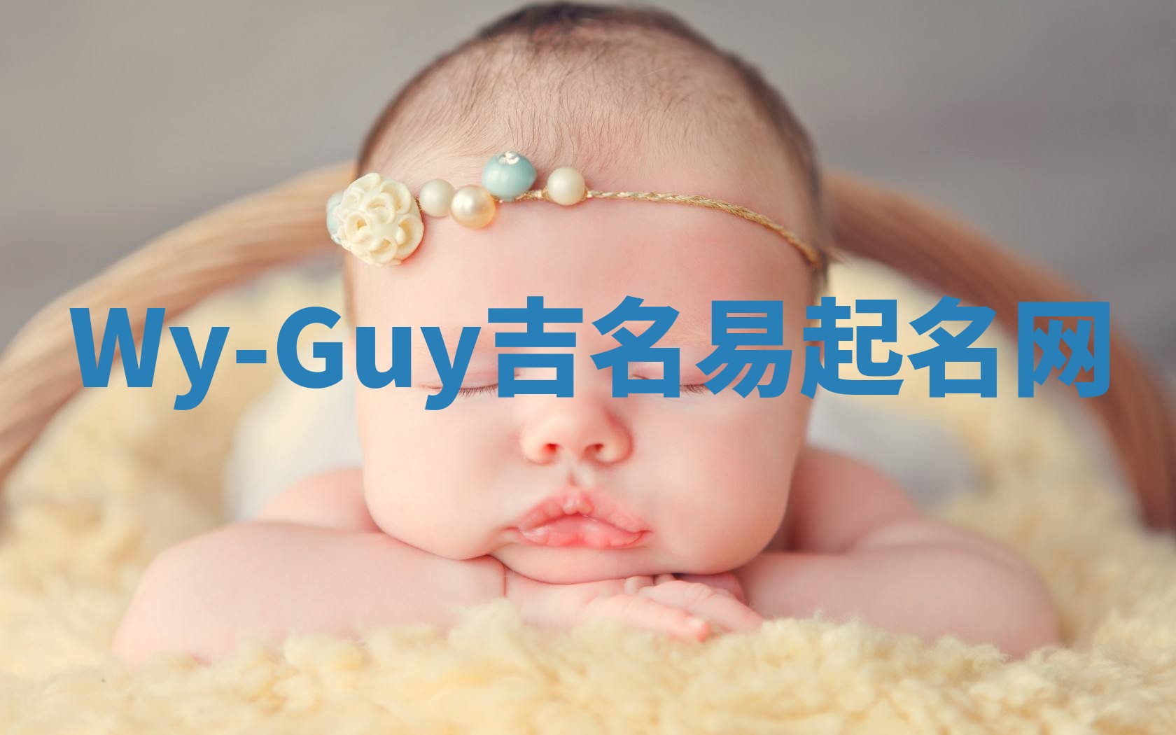 Wy-Guy吉名易起名网