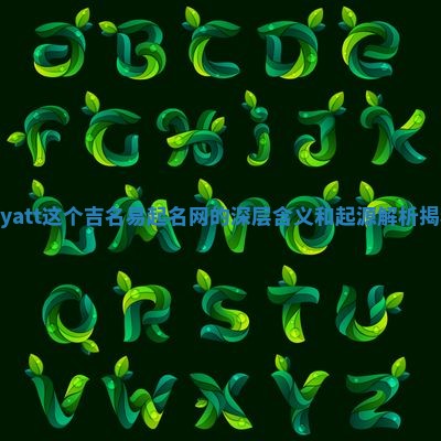 Wyatt这个吉名易起名网的深层含义和起源解析揭秘