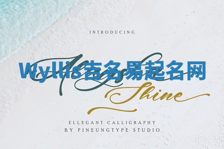 Wyllis吉名易起名网