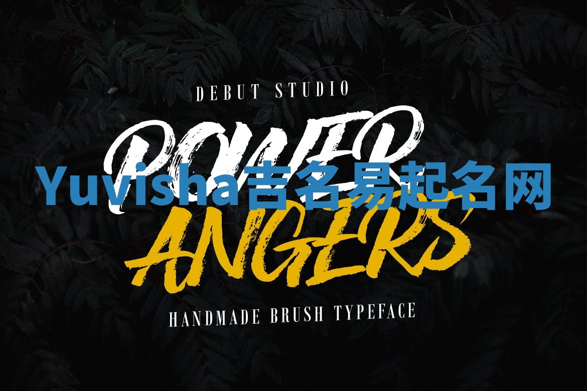 Yuvisha吉名易起名网