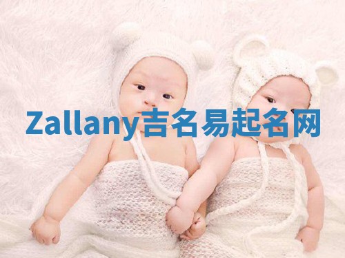 Zallany吉名易起名网