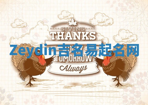 Zeydin吉名易起名网