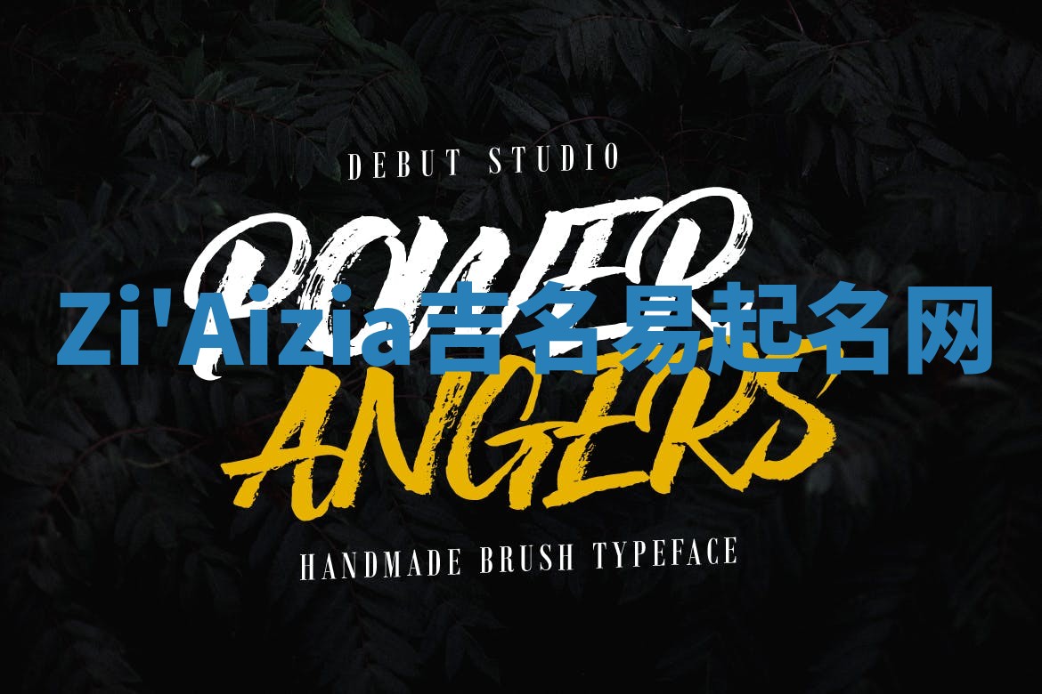 Zi'Aizia吉名易起名网