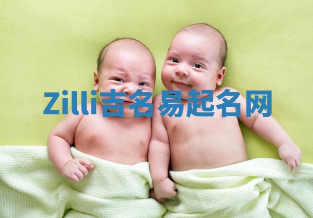 Zilli吉名易起名网