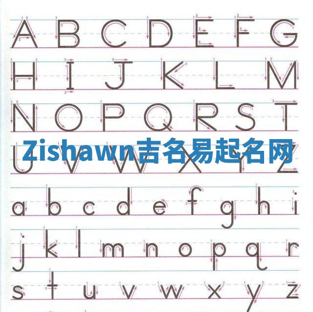 Zishawn吉名易起名网