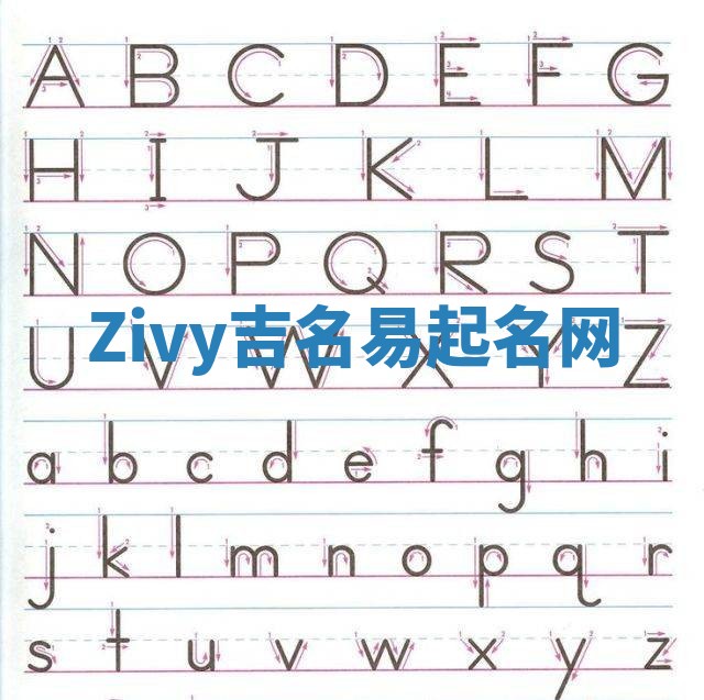 Zivy吉名易起名网