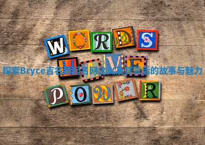 探索Bryce吉名易起名网含义及其背后的故事与魅力