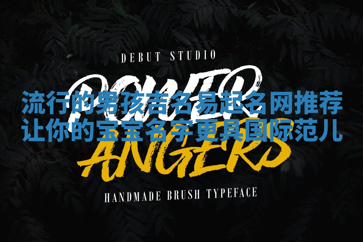 流行的男孩吉名易起名网推荐 让你的宝宝名字更具国际范儿